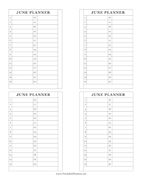 Printable Small Monthly Planner June